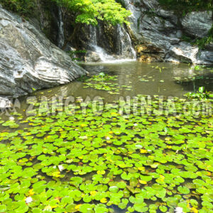 A lotus pond with a waterfall in the background - Zangyo-Ninja
