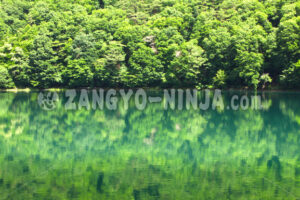 The Forest Reflected in the Lake - Foto The Forest Reflected in the Lake – Foto - Zangyo-Ninja