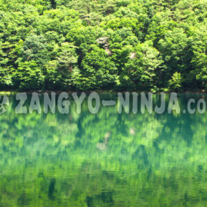 The Forest Reflected in the Lake – Foto - Zangyo-Ninja