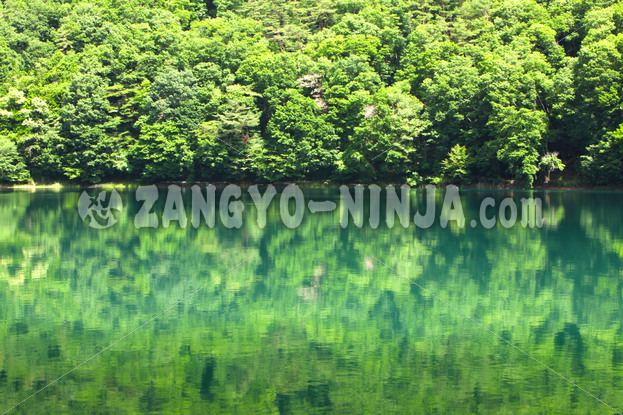 The Forest Reflected in the Lake – Foto - Zangyo-Ninja The Forest Reflected in the Lake – Foto - Zangyo-Ninja