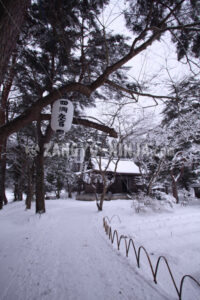 White snow-covered shrine bathed in silence – Foto - Zangyo-Ninja