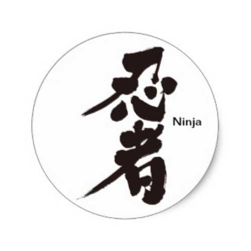 kanji ninja sticker penl