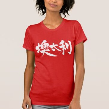 austria country in Kanji calligraphy t-shirts