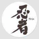 brushed Ninja in Kanji sticker